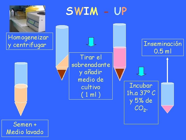 SWIM - UP Homogeneizar y centrifugar Tirar el sobrenadante y añadir medio de cultivo