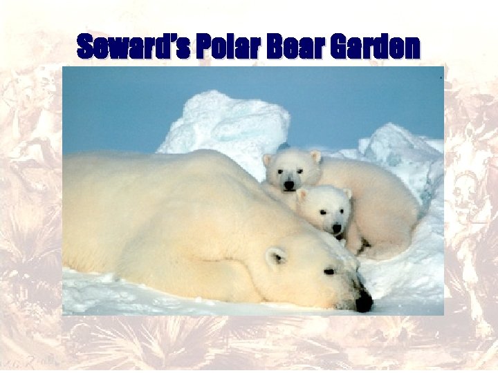 Seward’s Polar Bear Garden 