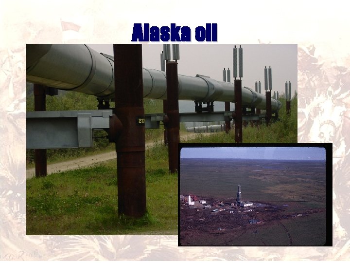 Alaska oil 