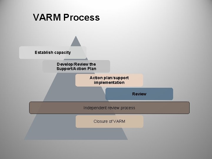 VARM Process Establish capacity Develop/Review the Support/Action Plan Action plan/support implementation Review Independent review