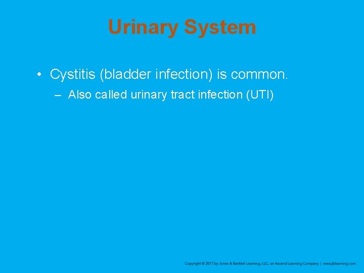 Urinary System • Cystitis (bladder infection) is common. – Also called urinary tract infection