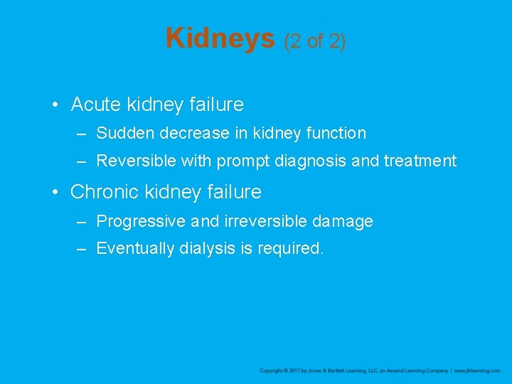 Kidneys (2 of 2) • Acute kidney failure – Sudden decrease in kidney function