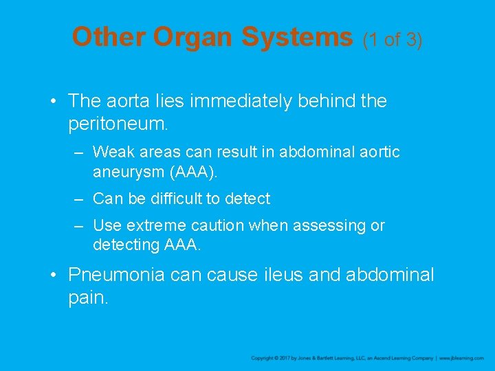 Other Organ Systems (1 of 3) • The aorta lies immediately behind the peritoneum.