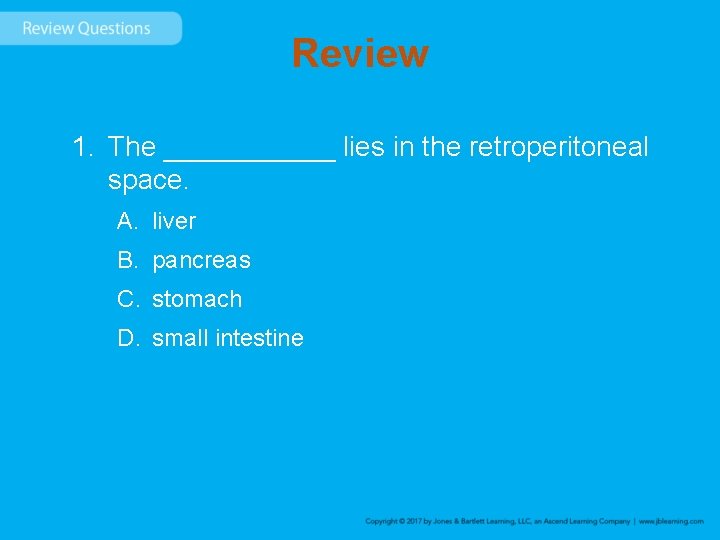 Review 1. The ______ lies in the retroperitoneal space. A. liver B. pancreas C.