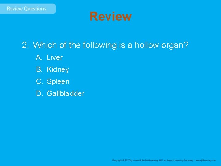 Review 2. Which of the following is a hollow organ? A. Liver B. Kidney