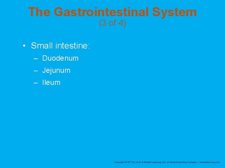 The Gastrointestinal System (3 of 4) • Small intestine: – Duodenum – Jejunum –