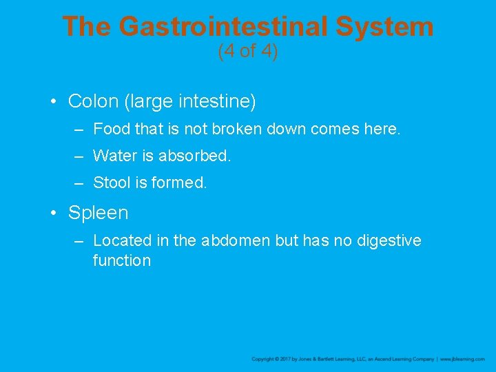 The Gastrointestinal System (4 of 4) • Colon (large intestine) – Food that is