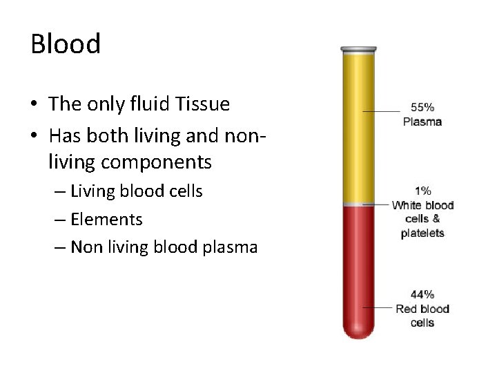 Blood • The only fluid Tissue • Has both living and nonliving components –