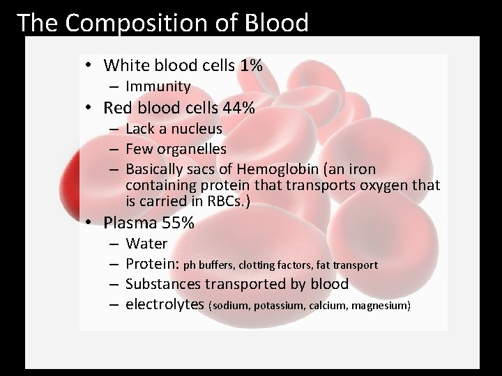 The Composition of Blood • White blood cells 1% – Immunity • Red blood