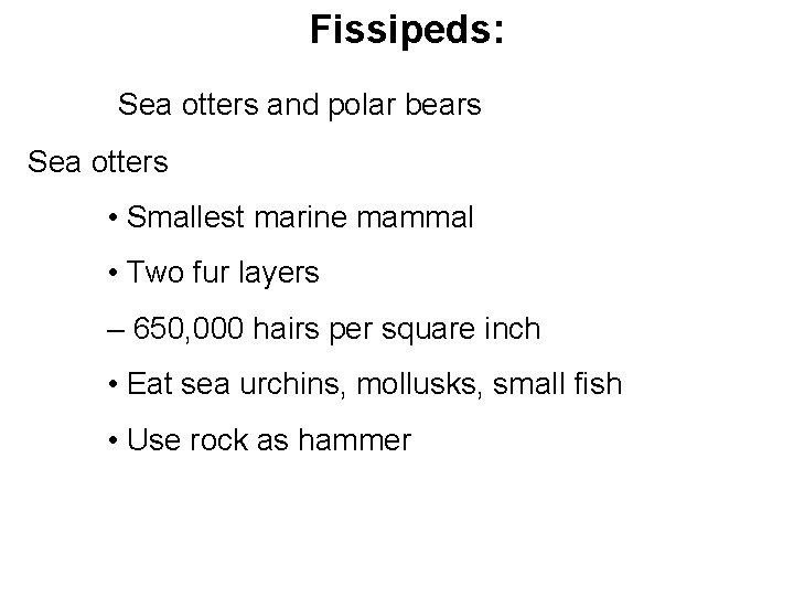 Fissipeds: Sea otters and polar bears Sea otters • Smallest marine mammal • Two