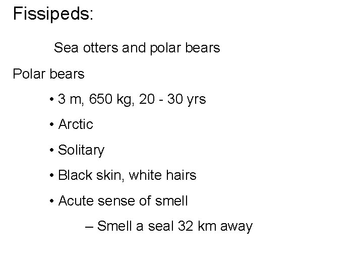 Fissipeds: Sea otters and polar bears Polar bears • 3 m, 650 kg, 20