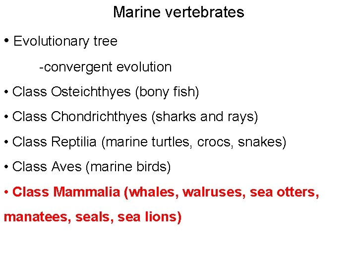 Marine vertebrates • Evolutionary tree -convergent evolution • Class Osteichthyes (bony fish) • Class