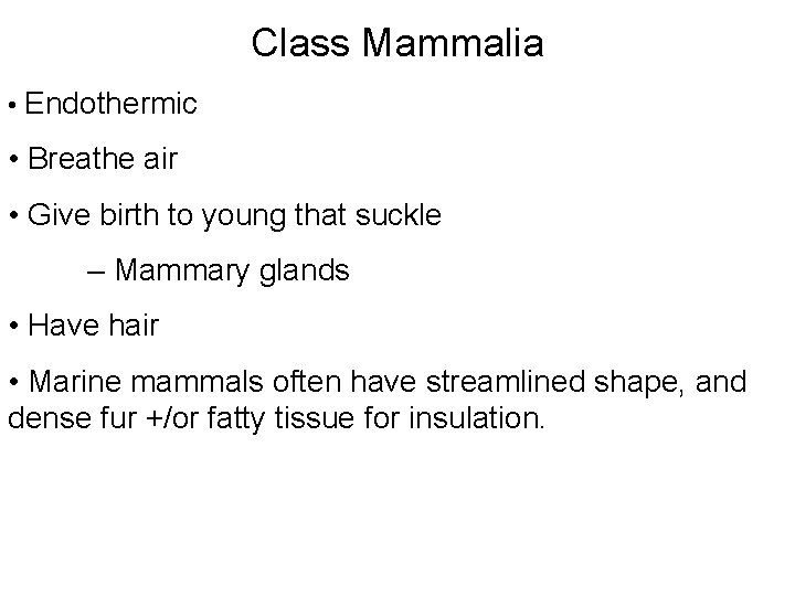 Class Mammalia • Endothermic • Breathe air • Give birth to young that suckle