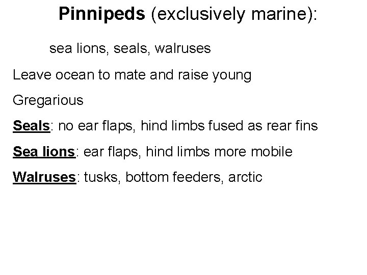Pinnipeds (exclusively marine): sea lions, seals, walruses Leave ocean to mate and raise young