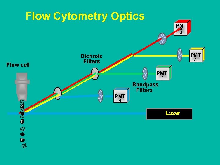 Flow Cytometry Optics PMT 4 Flow cell PMT Dichroic Filters 3 PMT 2 Bandpass