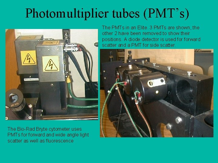 Photomultiplier tubes (PMT’s) The PMTs in an Elite. 3 PMTs are shown, the other
