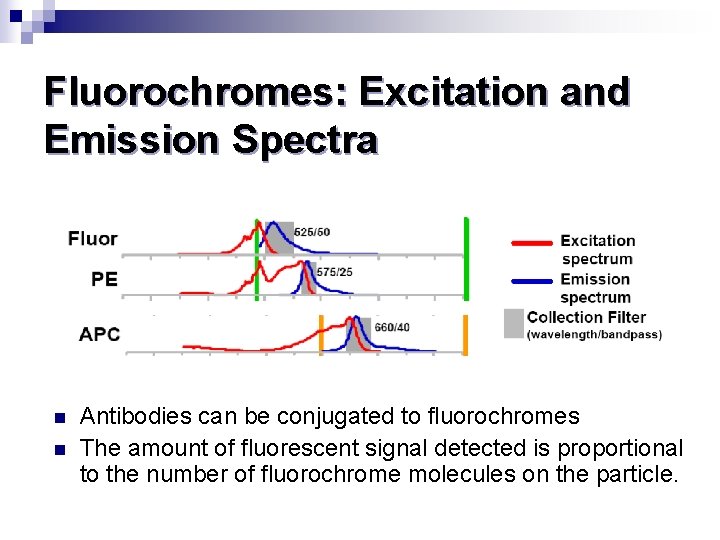 Fluorochromes: Excitation and Emission Spectra n n Antibodies can be conjugated to fluorochromes The