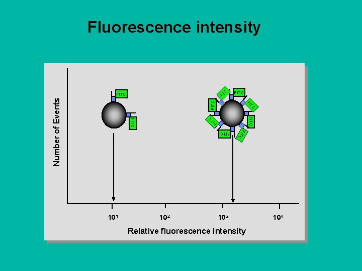 C Fluorescence intensity FI T FITC TC FI FITC Number of Events FITC TC