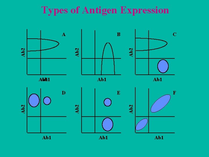 Types of Antigen Expression B Ab 1 F Ab 2 Ab 1 E Ab
