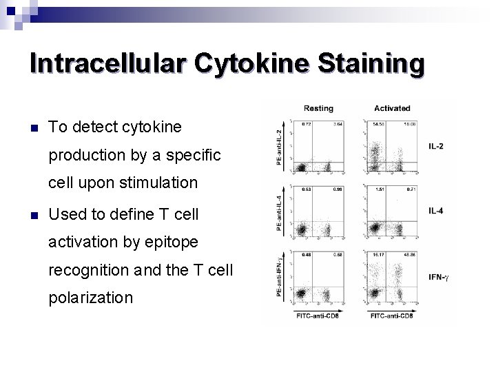Intracellular Cytokine Staining n To detect cytokine production by a specific cell upon stimulation