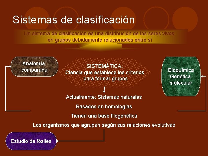Sistemas de clasificación Un sistema de clasificación es una distribución de los seres vivos