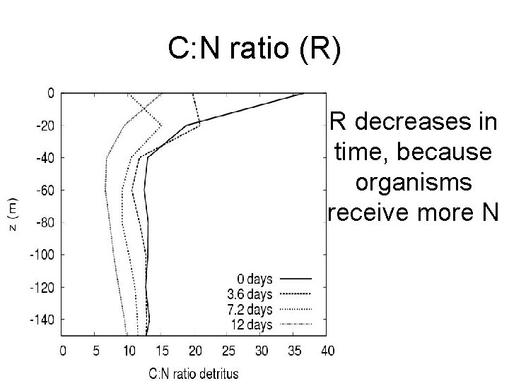 C: N ratio (R) R decreases in time, because organisms receive more N 