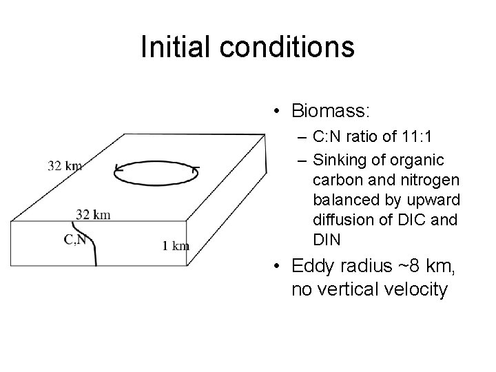 Initial conditions • Biomass: – C: N ratio of 11: 1 – Sinking of