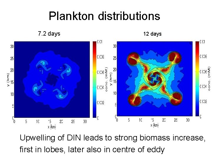 Plankton distributions 7. 2 days 12 days Upwelling of DIN leads to strong biomass