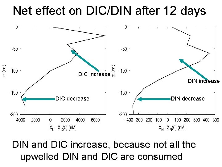 Net effect on DIC/DIN after 12 days DIC increase DIN increase DIC decrease DIN