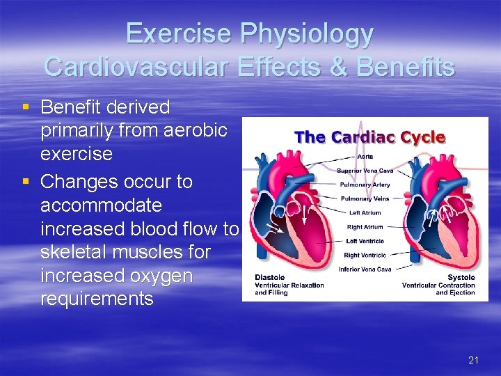 Exercise Physiology Cardiovascular Effects & Benefits § Benefit derived primarily from aerobic exercise §