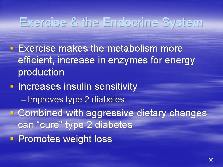 Exercise & the Endocrine System § Exercise makes the metabolism more efficient, increase in