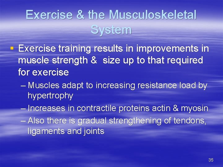 Exercise & the Musculoskeletal System § Exercise training results in improvements in muscle strength