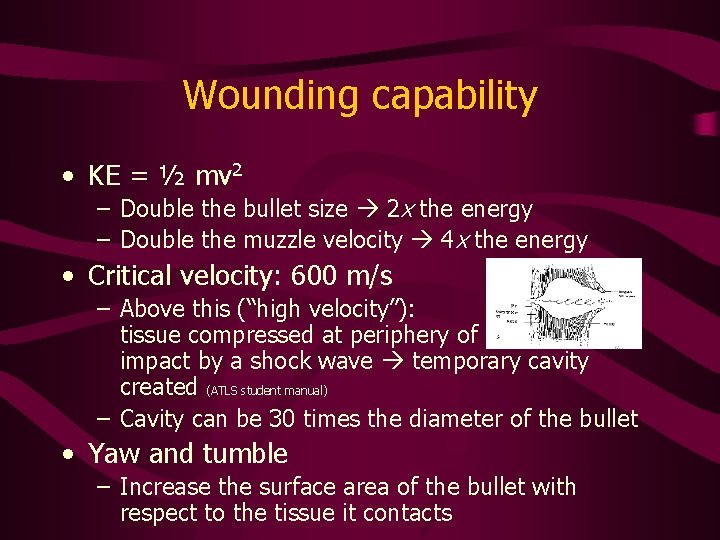 Wounding capability • KE = ½ mv 2 – Double the bullet size 2