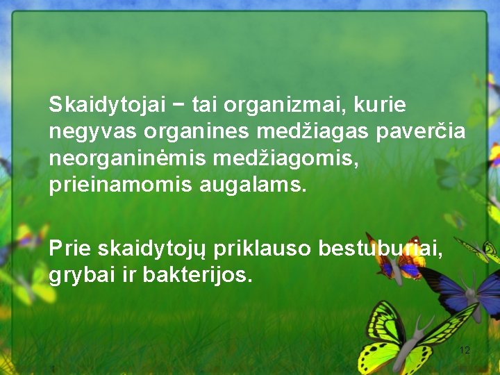 Skaidytojai − tai organizmai, kurie negyvas organines medžiagas paverčia neorganinėmis medžiagomis, prieinamomis augalams. Prie