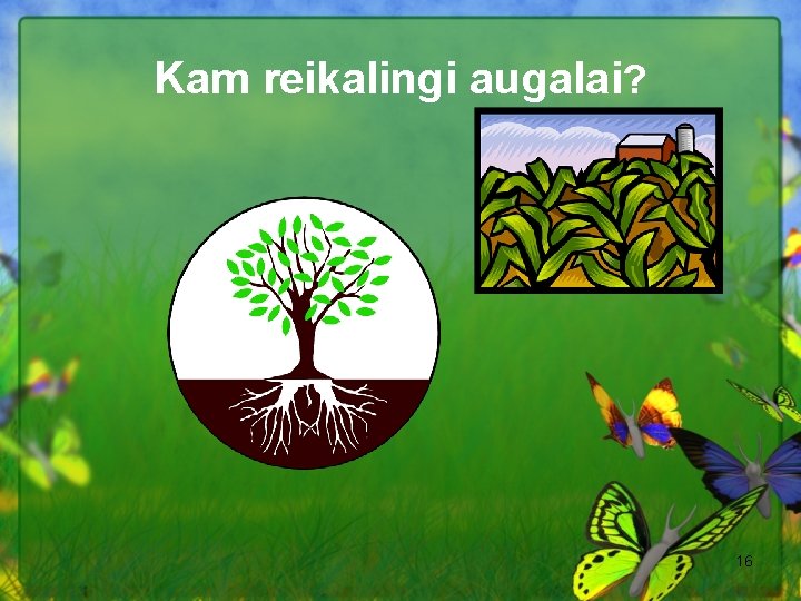 Kam reikalingi augalai? 16 