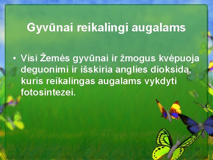 Gyvūnai reikalingi augalams • Visi Žemės gyvūnai ir žmogus kvėpuoja deguonimi ir išskiria anglies