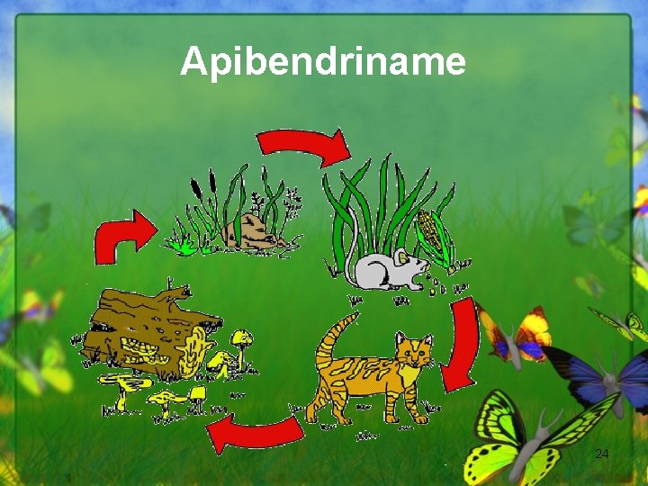 Apibendriname 24 