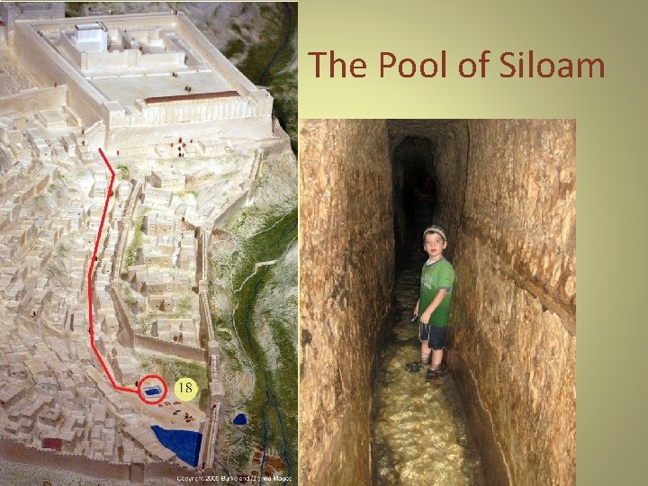 The Pool of Siloam 