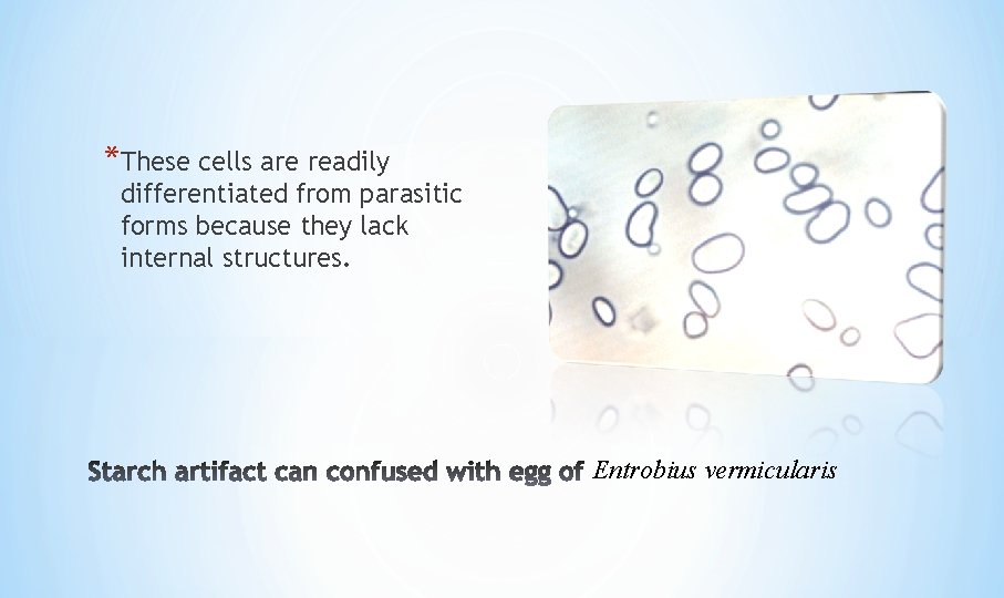 *These cells are readily differentiated from parasitic forms because they lack internal structures. Entrobius