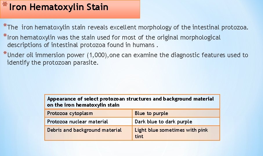 * Iron Hematoxylin Stain *The iron hematoxylin stain reveals excellent morphology of the intestinal