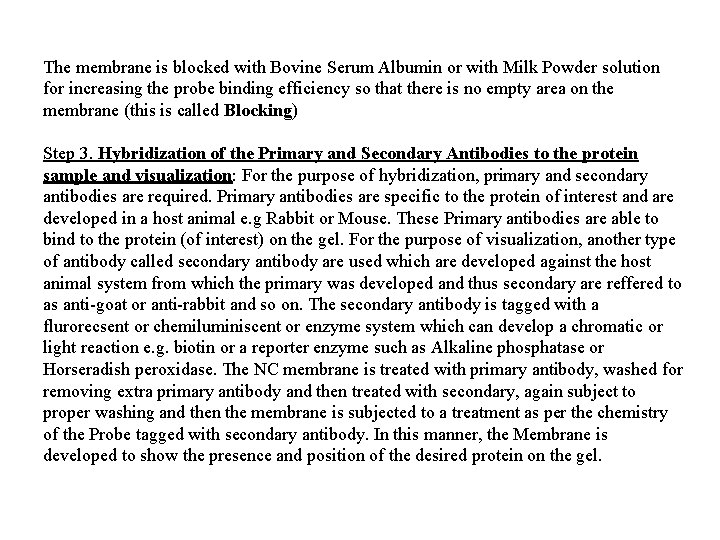 The membrane is blocked with Bovine Serum Albumin or with Milk Powder solution for