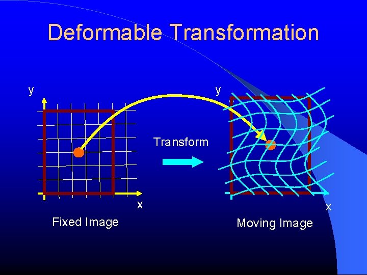 Deformable Transformation y y Transform x Fixed Image x Moving Image 