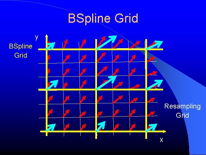 BSpline Grid y BSpline Grid Resampling Grid x 