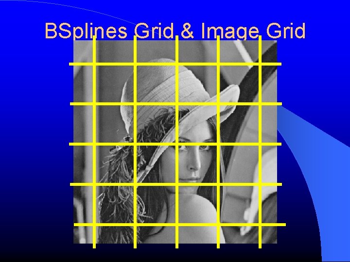 BSplines Grid & Image Grid 
