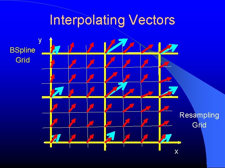 Interpolating Vectors y BSpline Grid Resampling Grid x 