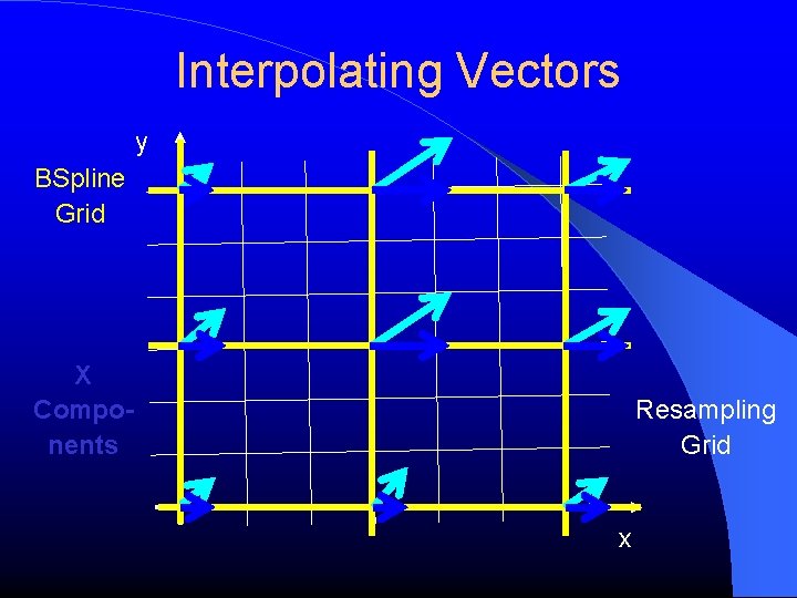 Interpolating Vectors y BSpline Grid X Components Resampling Grid x 