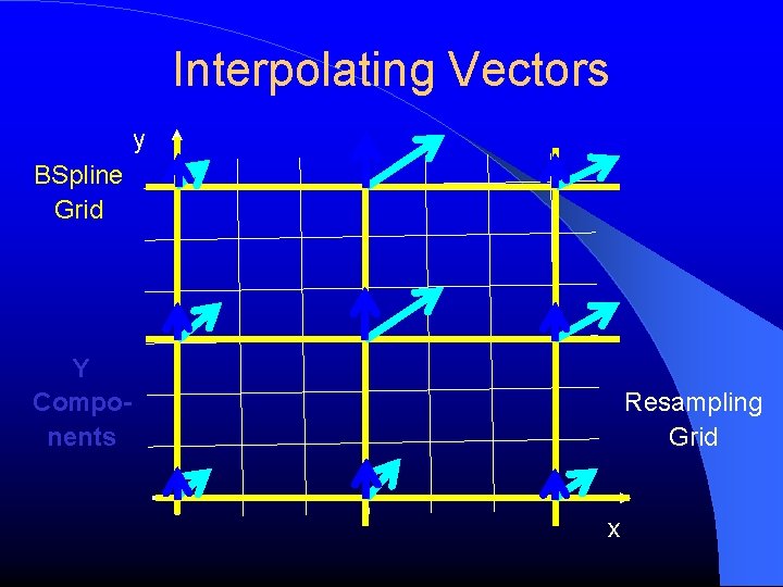 Interpolating Vectors y BSpline Grid Y Components Resampling Grid x 