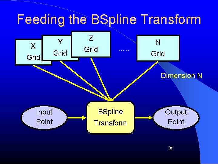 Feeding the BSpline Transform Y X Grid Z Grid …. . N Grid Dimension