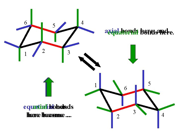 6 1 4 5 2 axial bonds here, and. . . equatorial here. 3