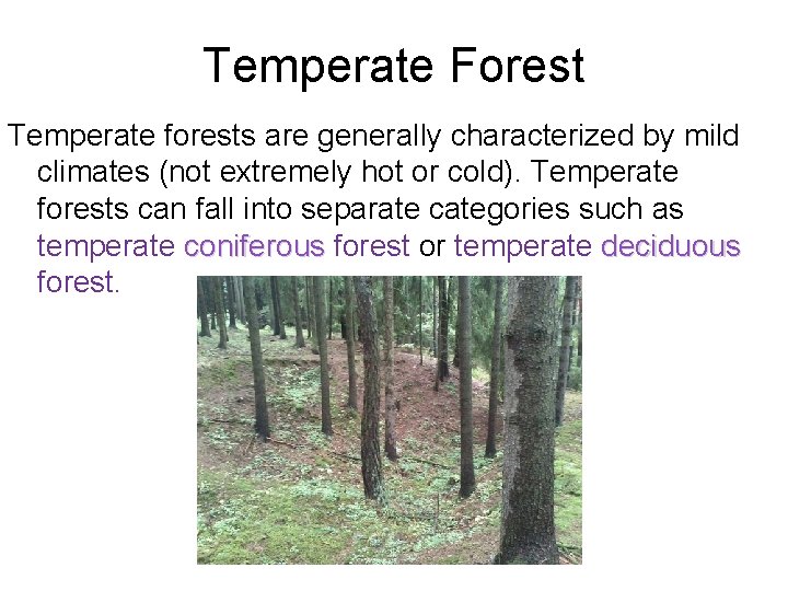 Temperate Forest Temperate forests are generally characterized by mild climates (not extremely hot or